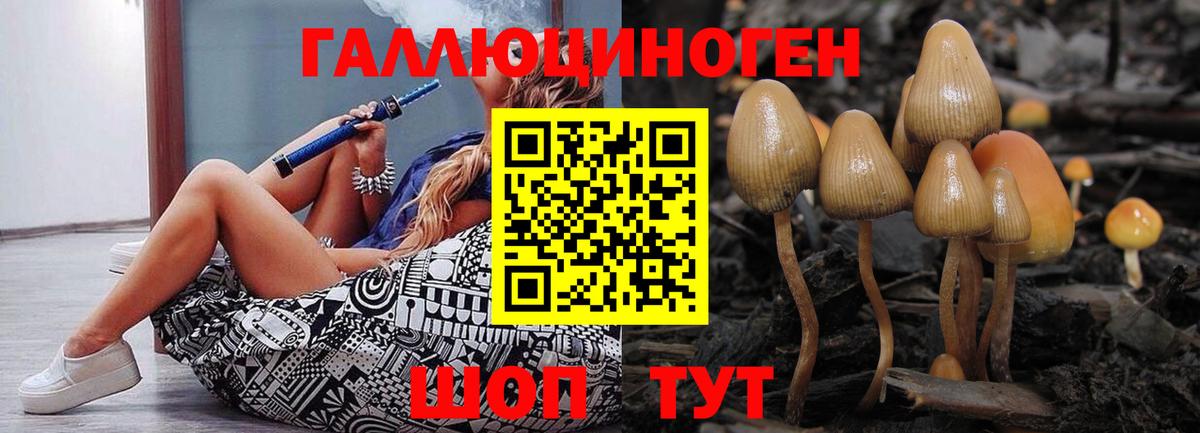Псилоцибиновые грибы Magic Shrooms Светлоград