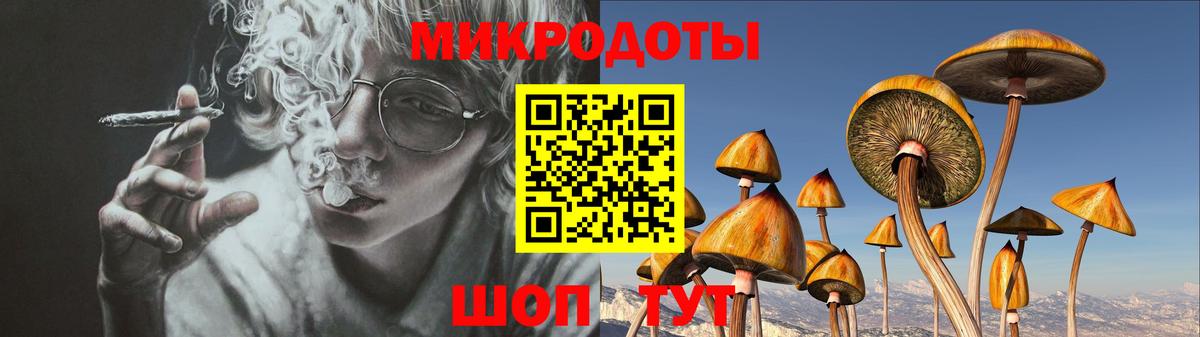 Светлоград  как найти закладки  Вход с VPN  Галлюциногенные грибы MAGIC MUSHROOMS 